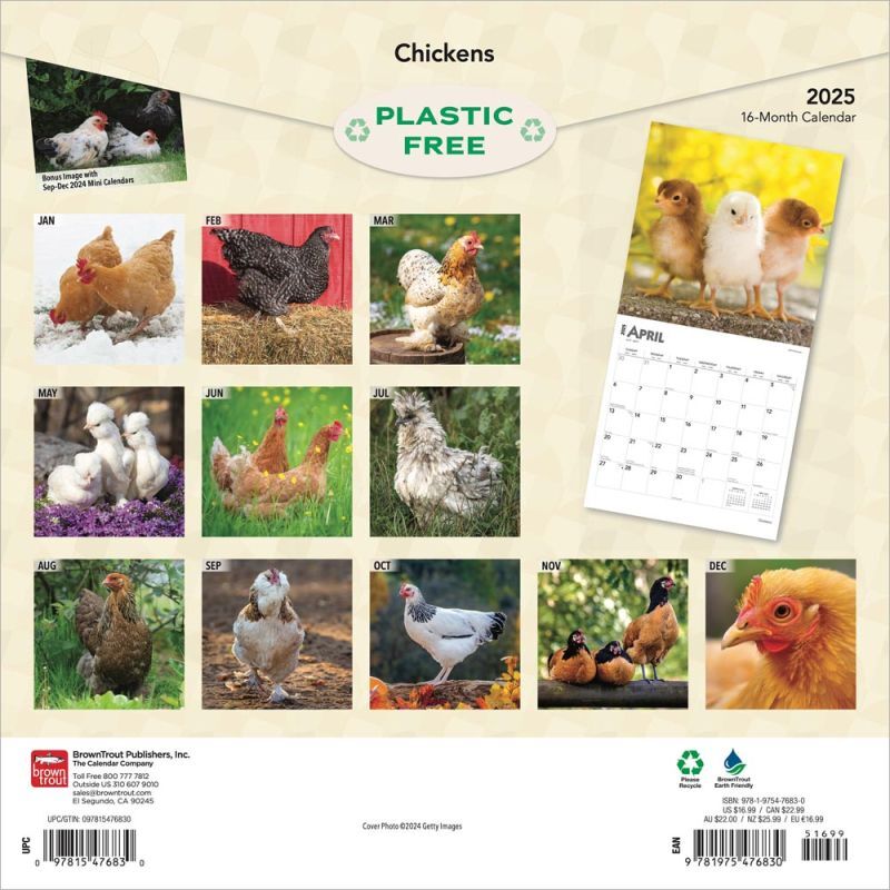 Brown Trout Publisher 2025 Chickens Monthly Square Wall Calendar, 12-In x 24-In