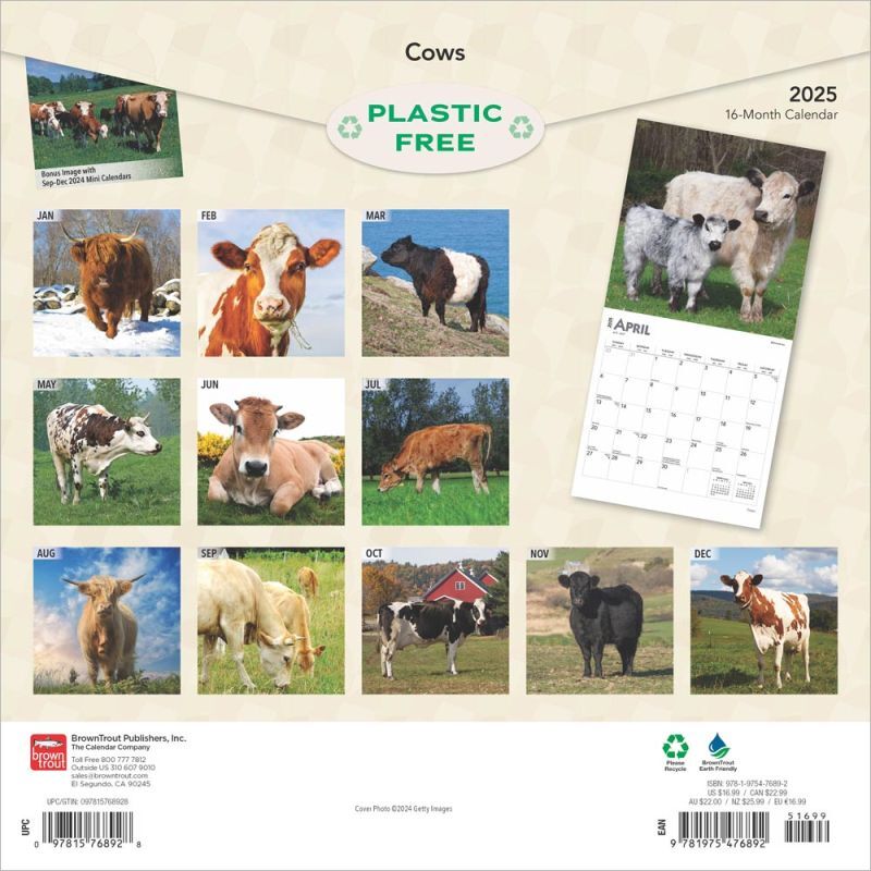 Brown Trout Publisher 2025 Cows Monthly Square Wall Calendar, 12-In x 24-In