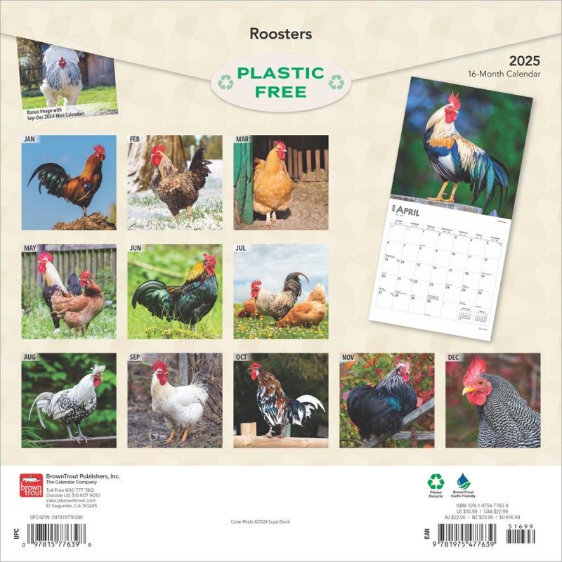 Brown Trout Publisher 2025 Roosters Monthly Square Wall Calendar, 12-In x 24-In