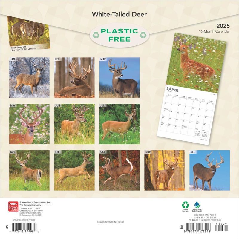 Brown Trout Publisher 2025 White Tailed Deer Monthly Square Wall Calendar, 12-In x 24-In