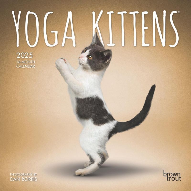 Brown Trout Publisher 2025 Yoga Kittens Official 2025 Monthly Mini Wall Calendar, 7-In x 14-In