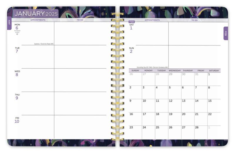 Brown Trout Publisher 2025 House of Turnowsky Official Weekly Desk Planner, 6-In x 7.75-In