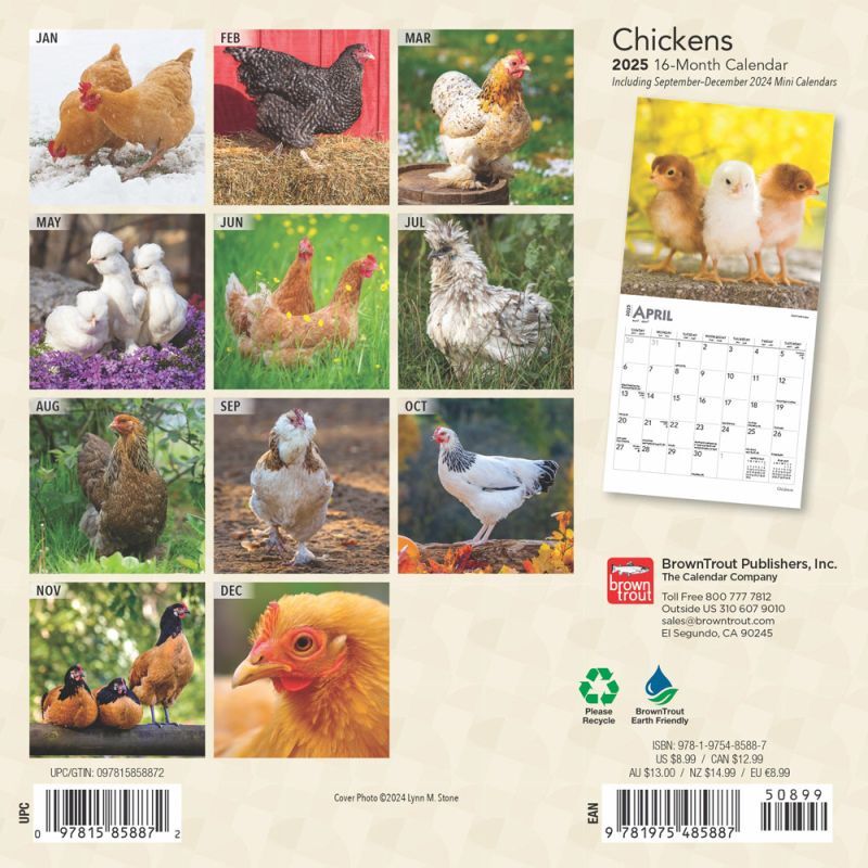 Brown Trout Publisher 2025 Chickens Monthly Mini Wall Calendar, 7-In x 14-In
