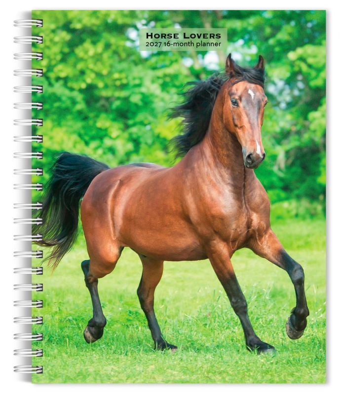 Brown Trout Publishers Horse Lovers 2027 Spiral Bound Planner Calendar, 6 in. x 7.75 in.