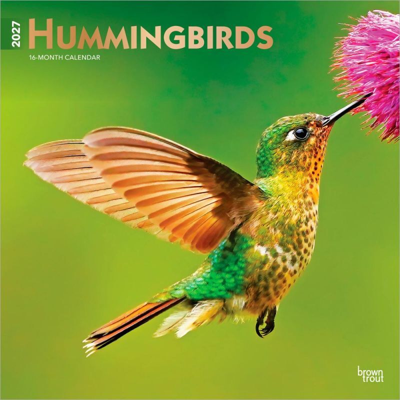 Brown Trout Publishers Hummingbirds 2027 Monthly Square Wall Calendar, 12 in. x 24 in.