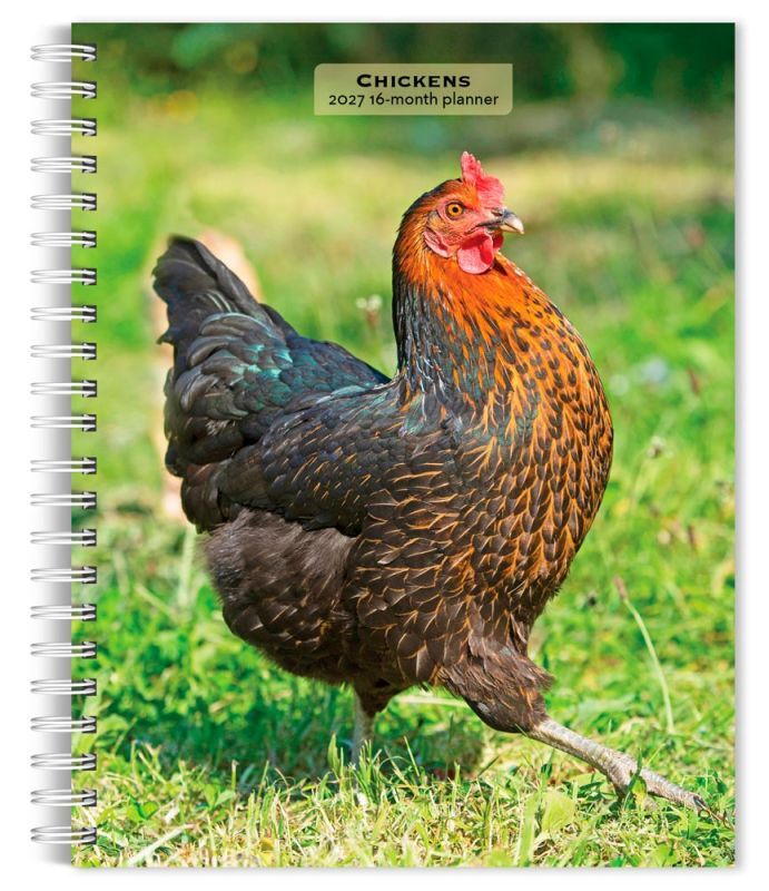 Brown Trout Publishers Chickens 2027 Spiral Bound Weekly Planner Calendar, 6 in. x 7.75 in.