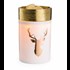 Candle Warmers Golden Stag Illumination Fragrance Warmer