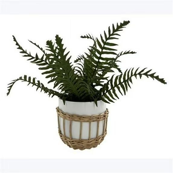 Young's Artificial Fern In Ceramic Pot