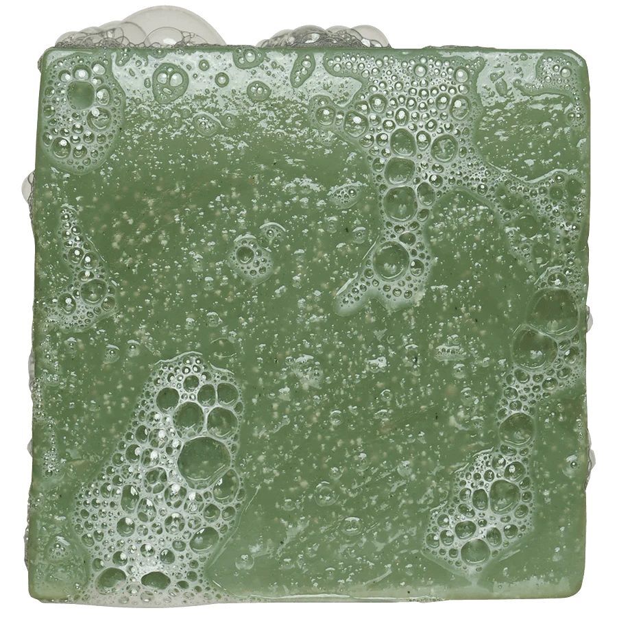 Dr. Squatch Rainforest Rapids Soap Bar