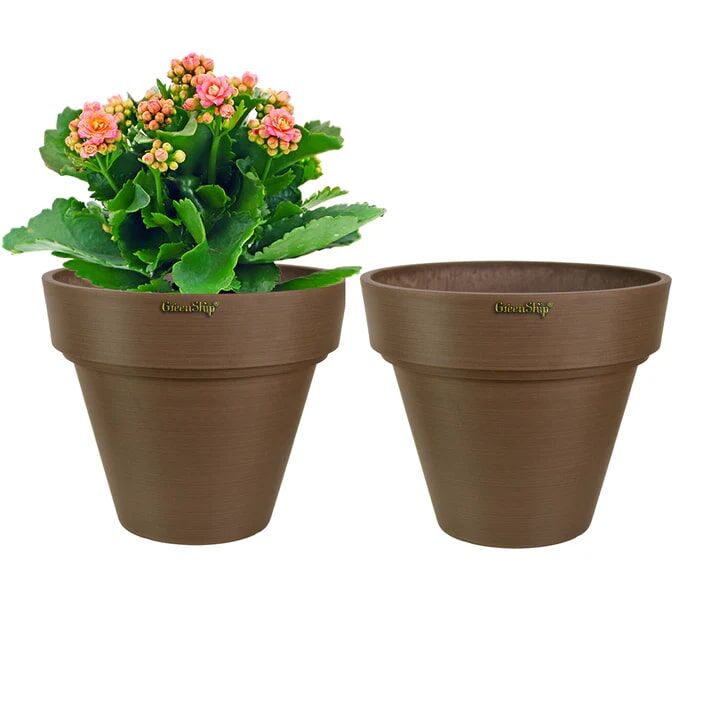 Green Ship Chocolate Large Planter With Drainage Hole, 10-In