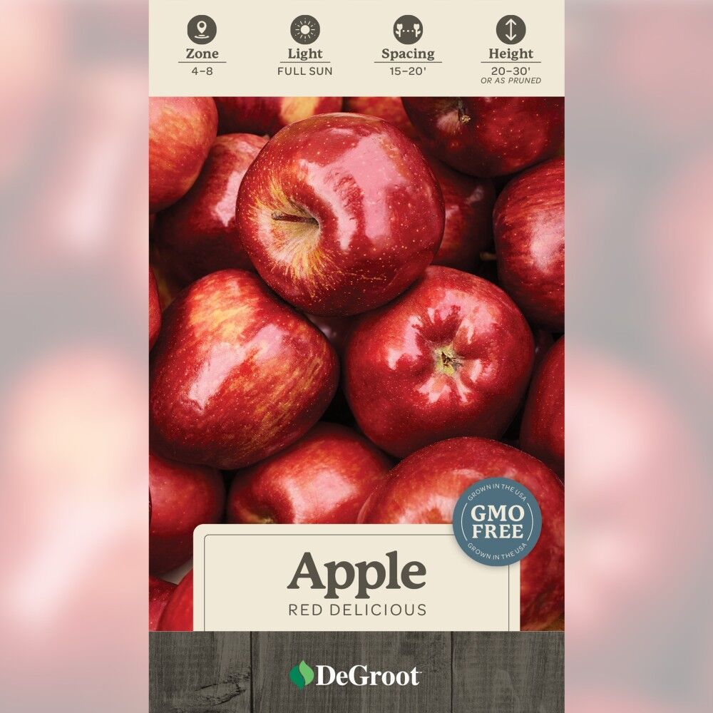DeGroot Apple Tree, Red Delicious