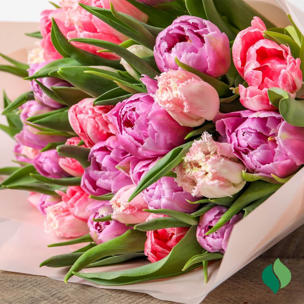 DeGroot Tulip, Florist’s Treat Mix