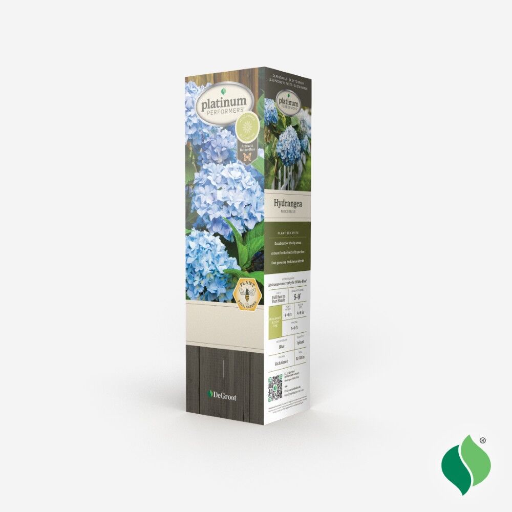 DeGroot Hydrangea, Nikko Blue