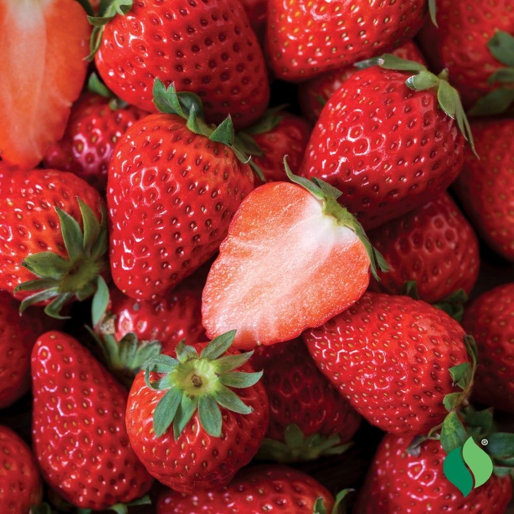 DeGroot Strawberry, Bag O' Blooms