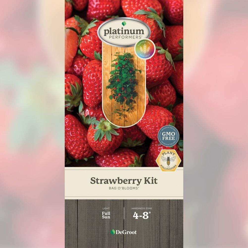 DeGroot Strawberry, Bag O' Blooms
