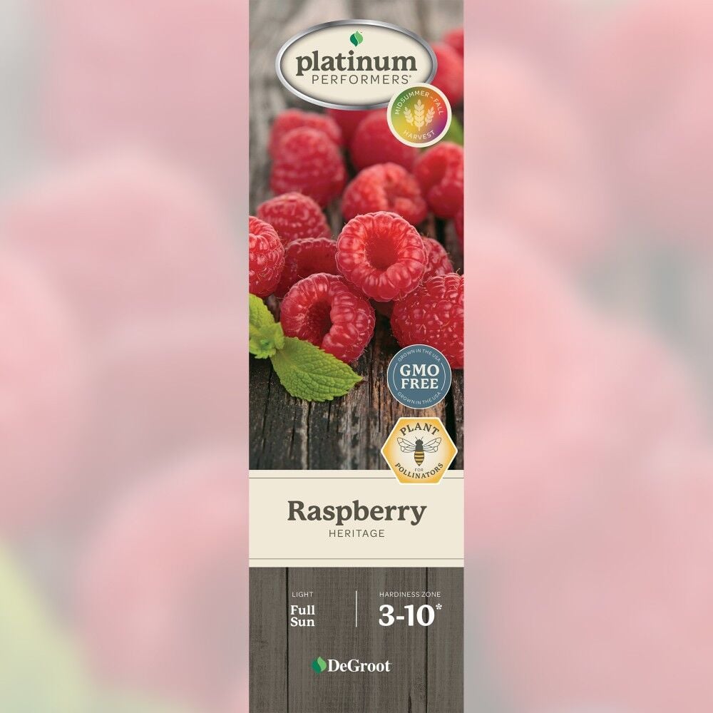 DeGroot Raspberry, Heritage