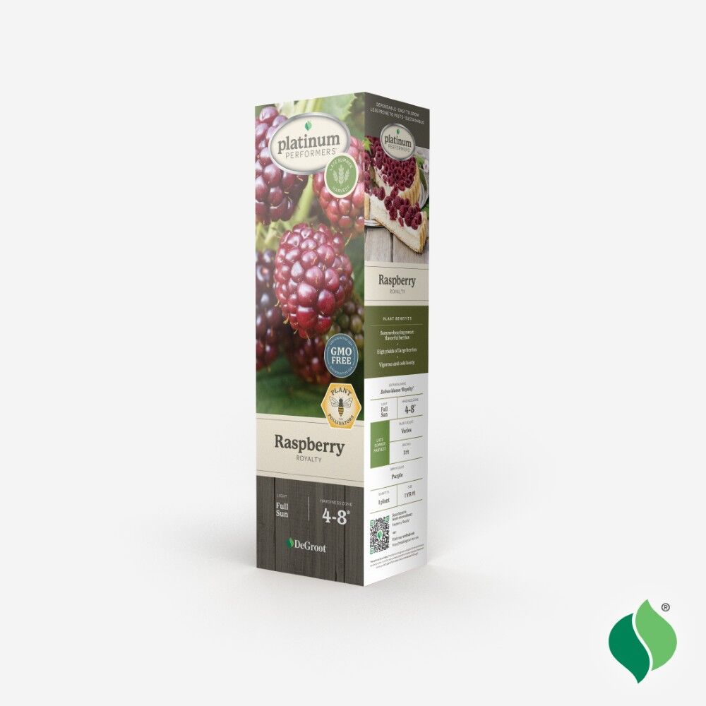 DeGroot Raspberry, Royalty