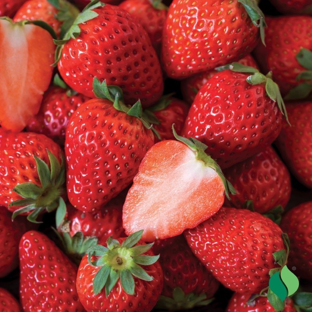 DeGroot Strawberry, Ozark Beauty