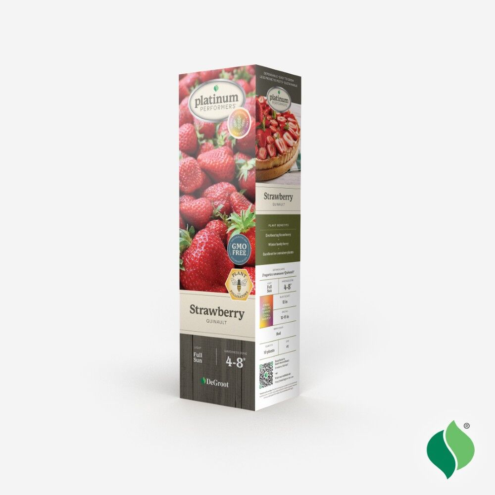 DeGroot Strawberry, Quinault