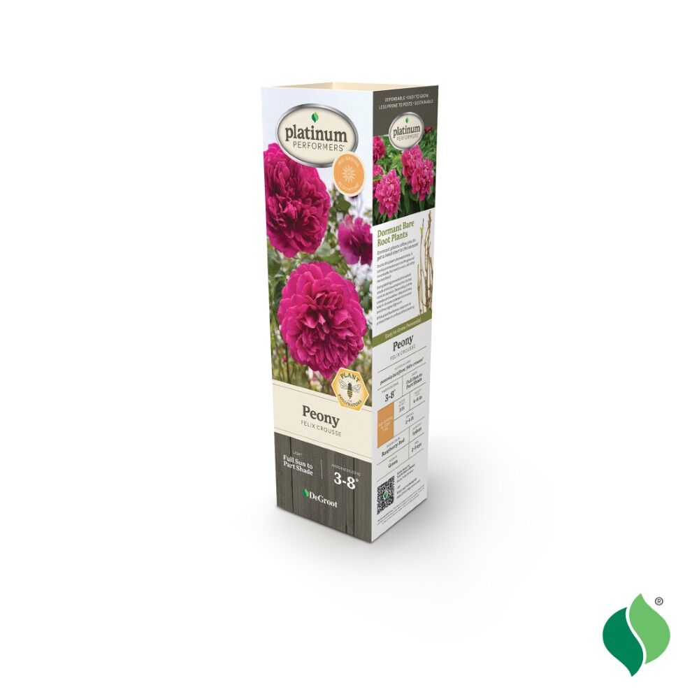 DeGroot Peony, Felix Crousse