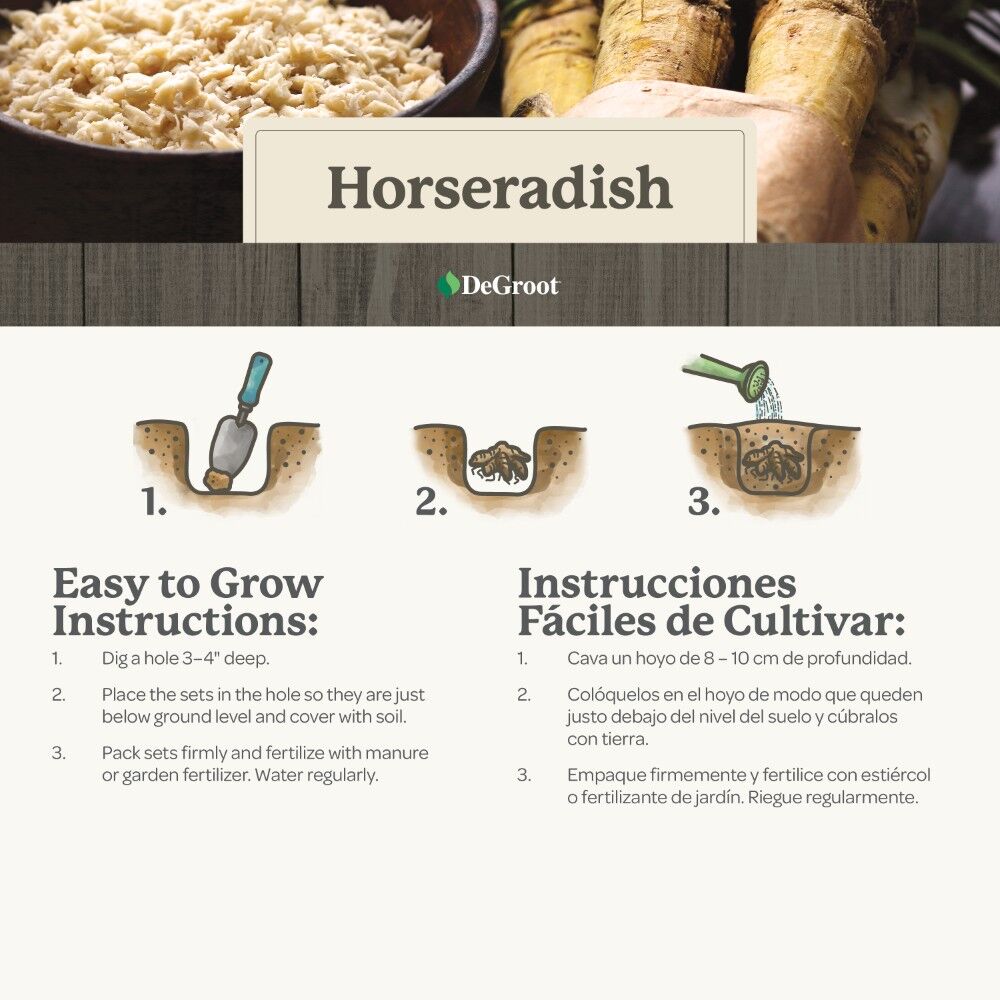 DeGroot Horseradish Sets