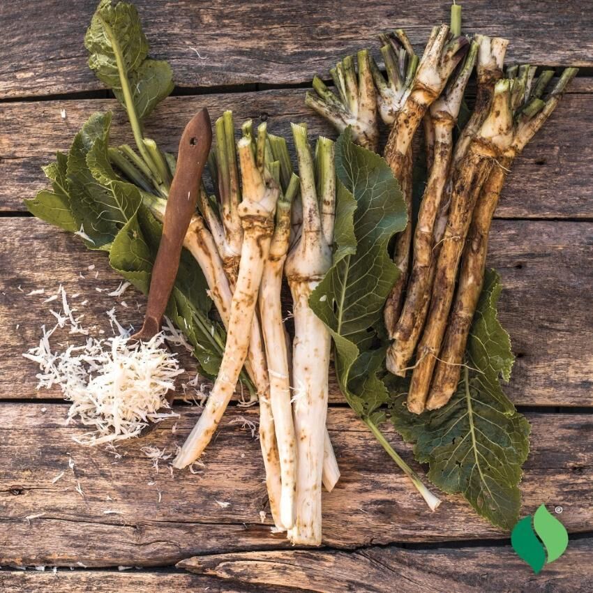 DeGroot Horseradish Sets