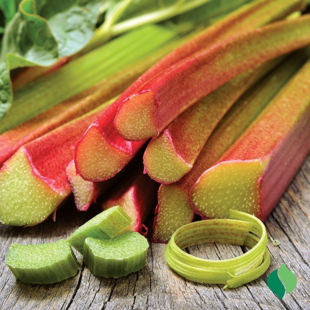 DeGroot Rhubarb, Victoria