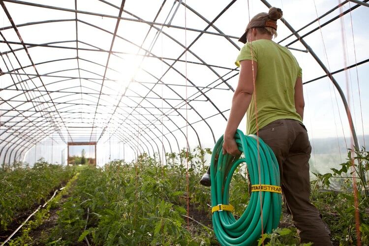 Titan Straps Yellow Industrial Strap, 20-In