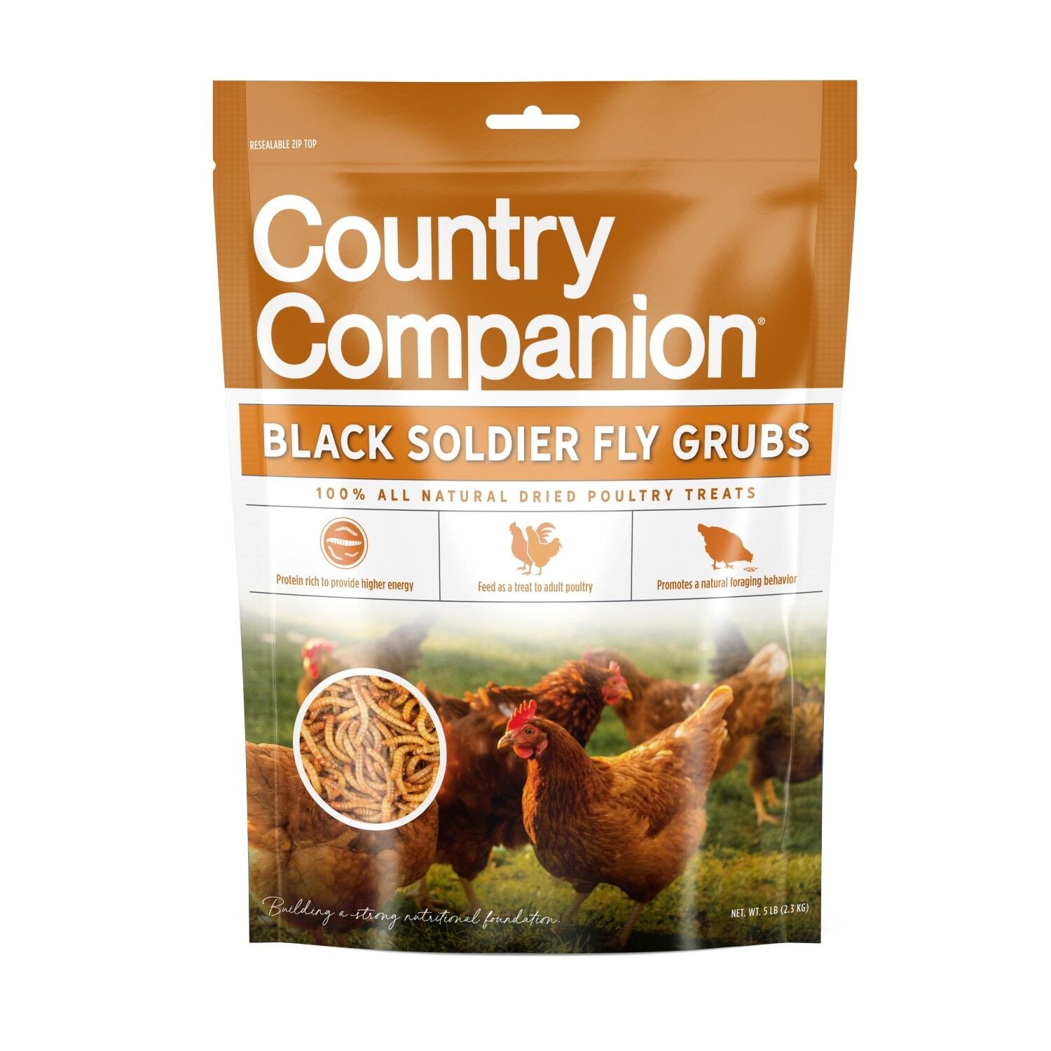 Country Companion Black Soldier Fly Grubs Poultry Treats, 5 lb.