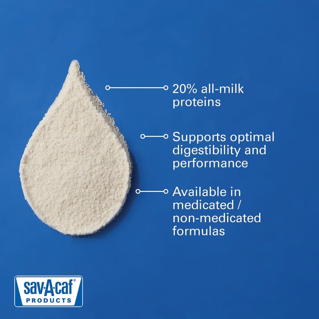 Sav-A-Calf Performance Calf Milk Replacer With Bovatec, 50-Lb