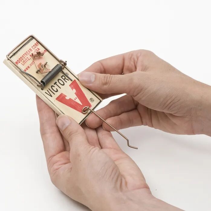 Victor Traps Metal Mouse Trap - 06 oz