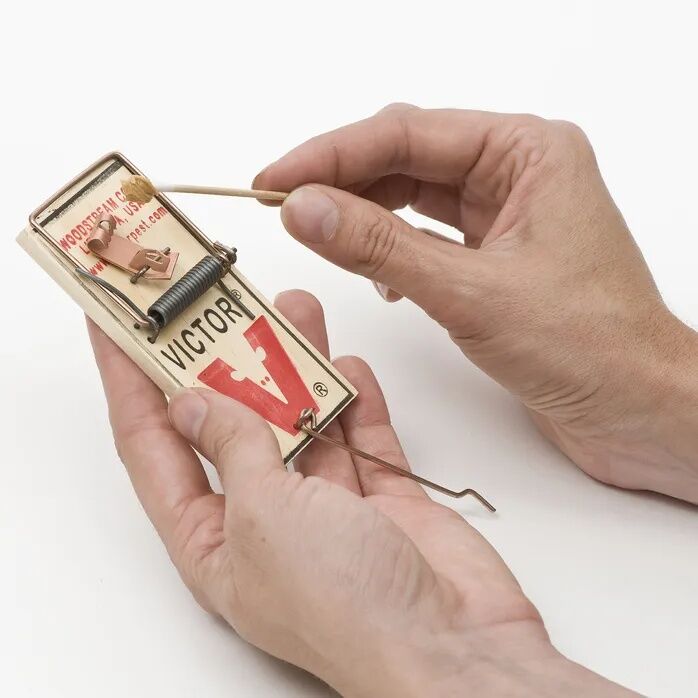 Victor Metal Petal Mouse Trap, 2-Pk