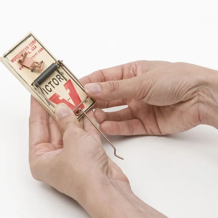 Victor Metal Petal Mouse Trap, 2-Pk