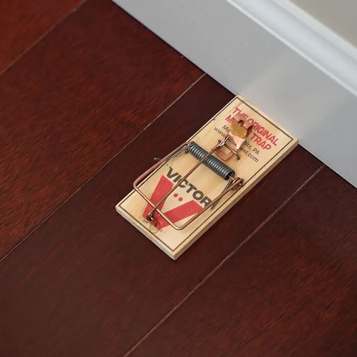 Victor Metal Petal Mouse Trap, 2-Pk