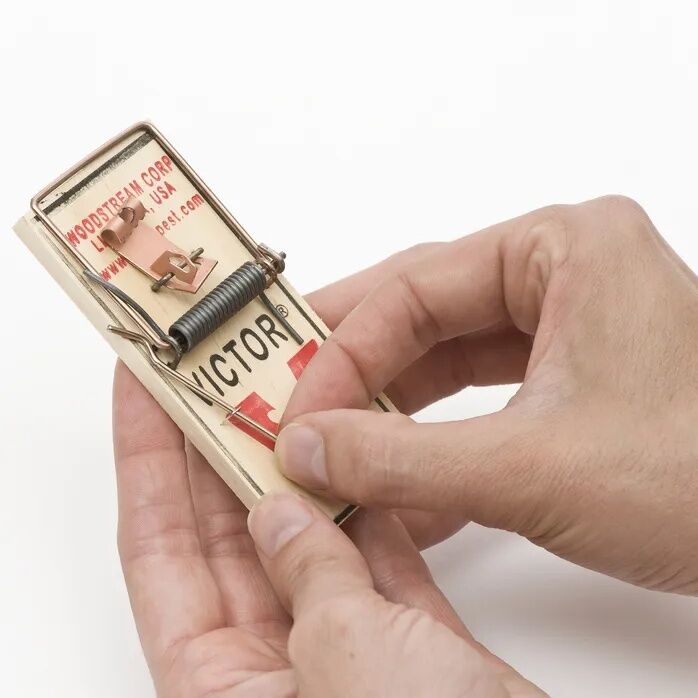 Victor Metal Petal Mouse Trap, 2-Pk