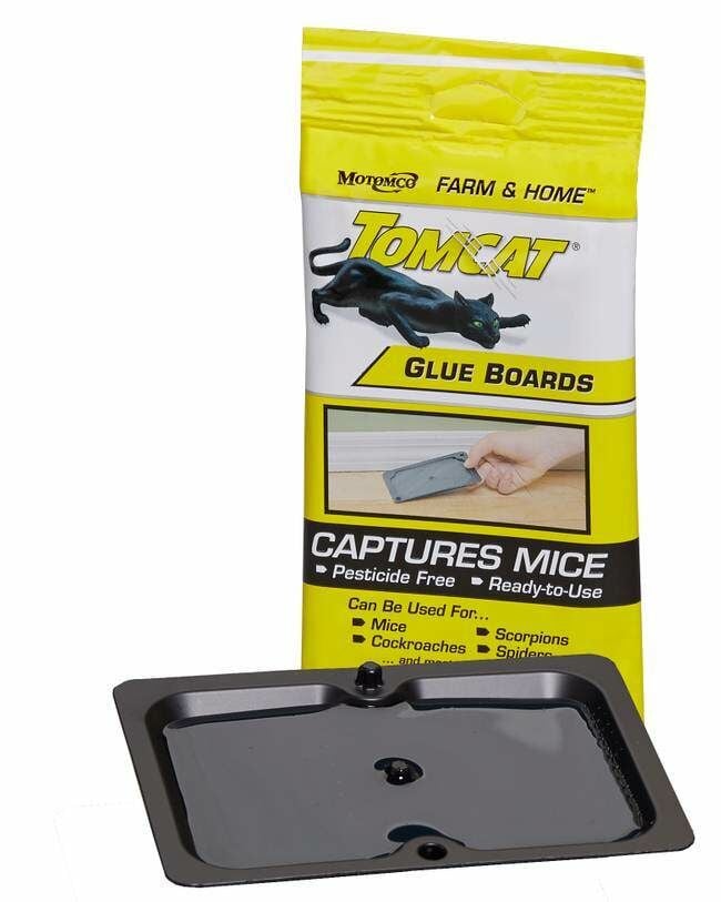 Motomco TomMouse Glue Board - 1 Count