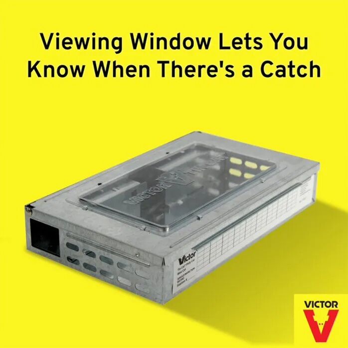 Victor Tin Cat Mouse Trap with Window