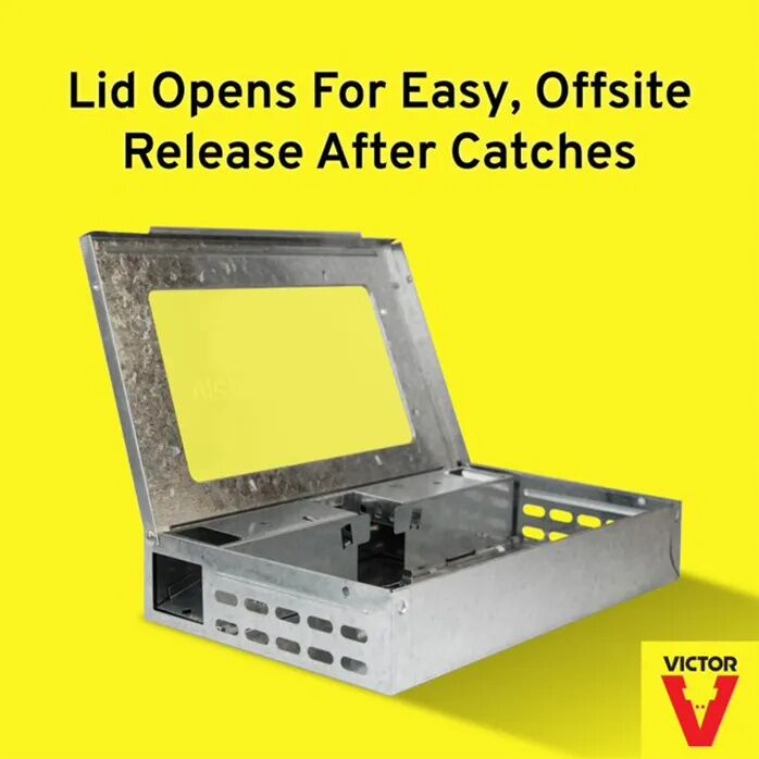 Victor Tin Cat Mouse Trap with Window