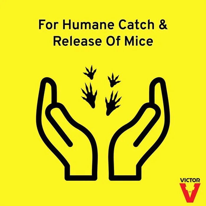 Victor Tin Cat Mouse Trap with Window