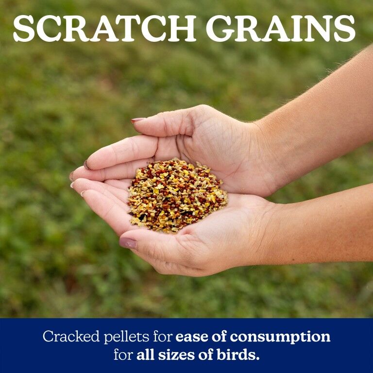 Nutrena NatureWise Scratch Grains, 7-Lb