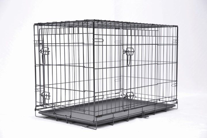 Main St. Pet 36-In 2-Door Folding Pet Crate 