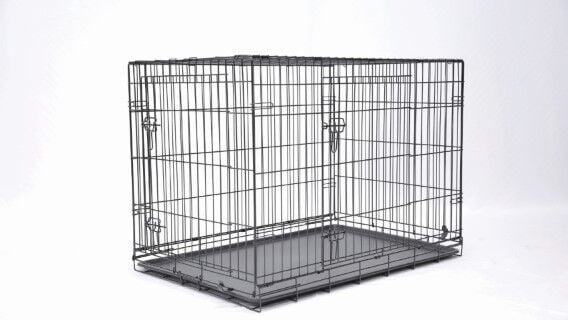 Main St. Pet 42-In 2 Door Pet Crate
