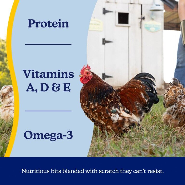 Nutrena Naturewise TidBits Healthy Egg Poultry Treats, 5-Lb