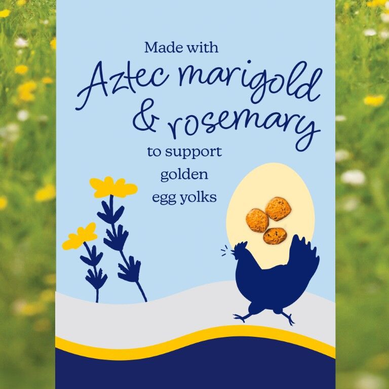 Nutrena Naturewise TidBits Healthy Egg Poultry Treats, 5-Lb