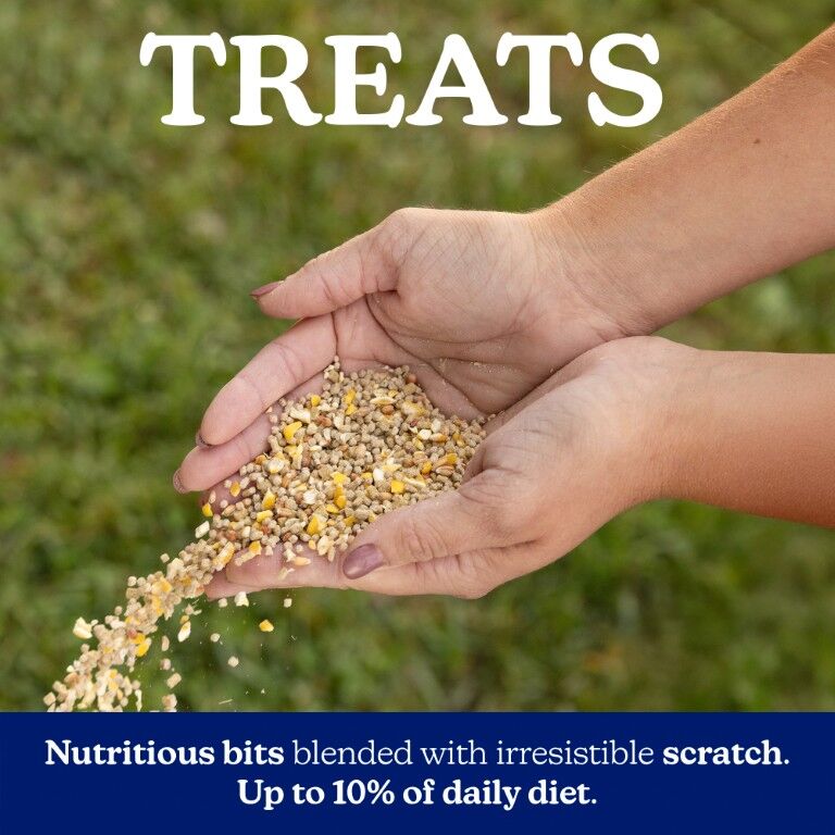 Nutrena Naturewise TidBits Healthy Egg Poultry Treats, 5-Lb