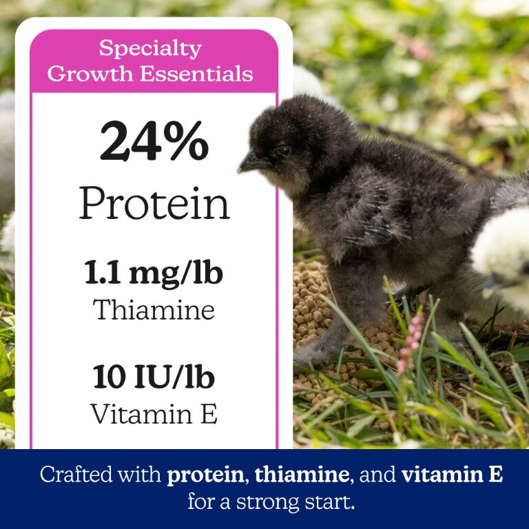 Nutrena Naturewise Silkie & Ornamental Starter Grower 24% Protein Micro Clean Crumb, 7-Lb
