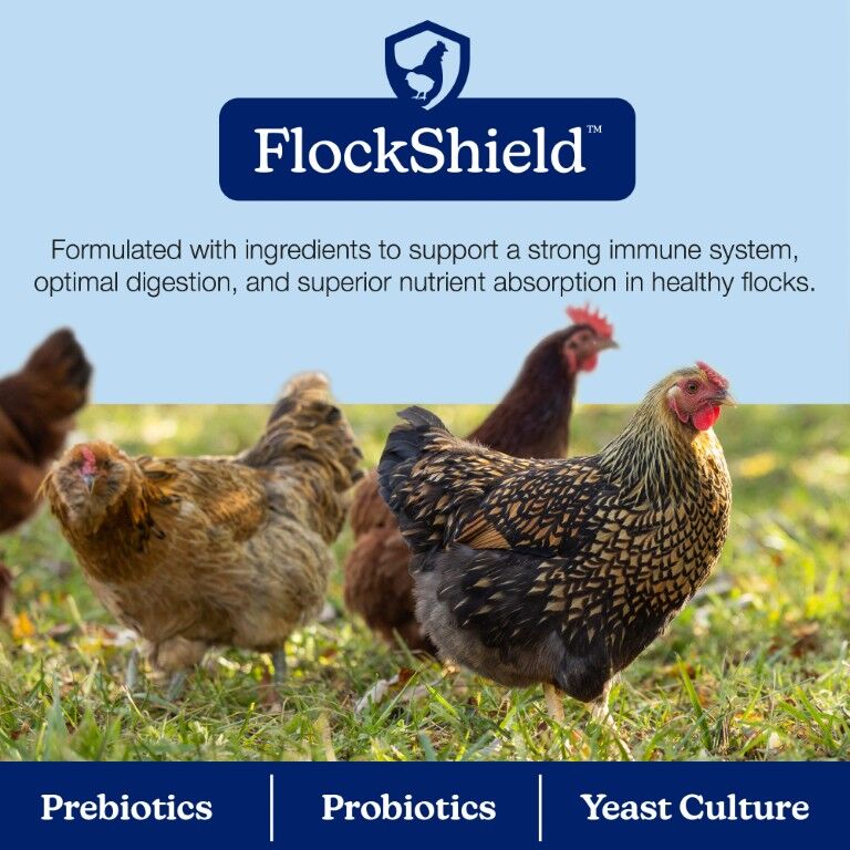 Nutrena Naturewise Silkie & Ornamental Starter Grower 24% Protein Micro Clean Crumb, 7-Lb