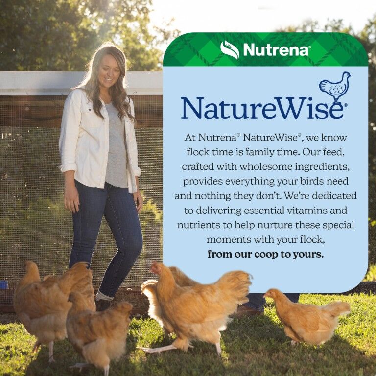 Nutrena Naturewise Silkie & Ornamental Starter Grower 24% Protein Micro Clean Crumb, 7-Lb