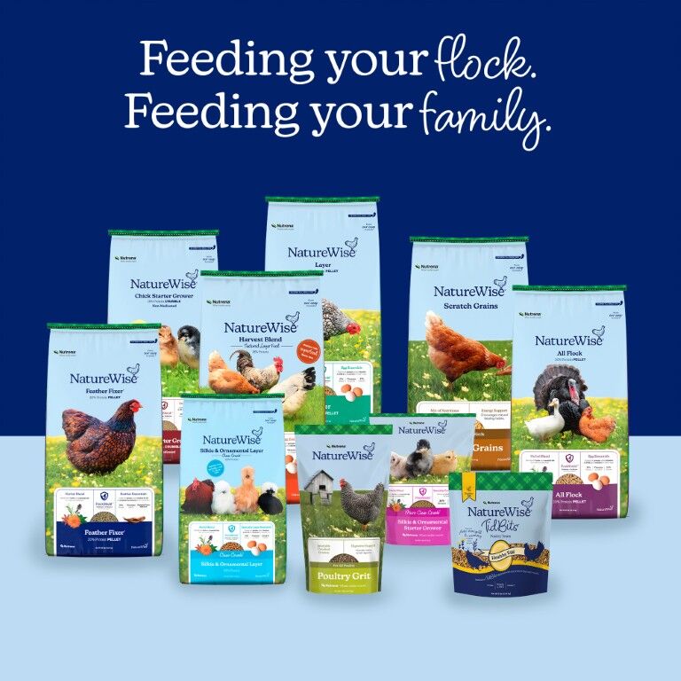 Nutrena Naturewise Silkie & Ornamental Starter Grower 24% Protein Micro Clean Crumb, 7-Lb