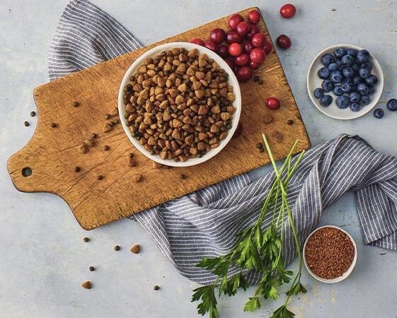 Blue Buffalo Wilderness Rocky Mountain Recipe Adult Red Meat with Wholesome Grains Dog Food, 28-Lb